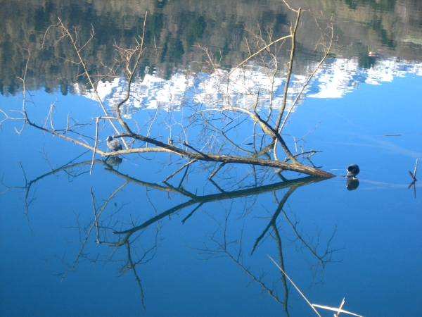 lago di Levico